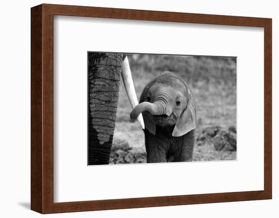 Close-Bjoern Alicke-Framed Photographic Print