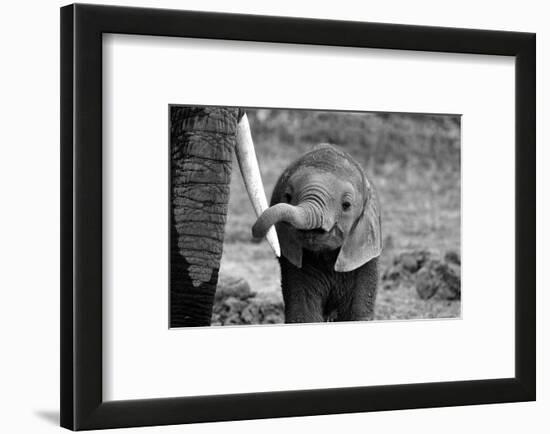 Close-Bjoern Alicke-Framed Photographic Print