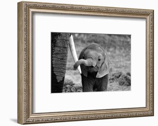 Close-Bjoern Alicke-Framed Photographic Print