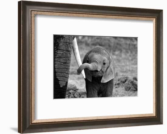 Close-Bjoern Alicke-Framed Photographic Print