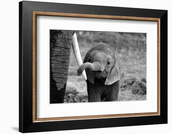 Close-Bjoern Alicke-Framed Photographic Print