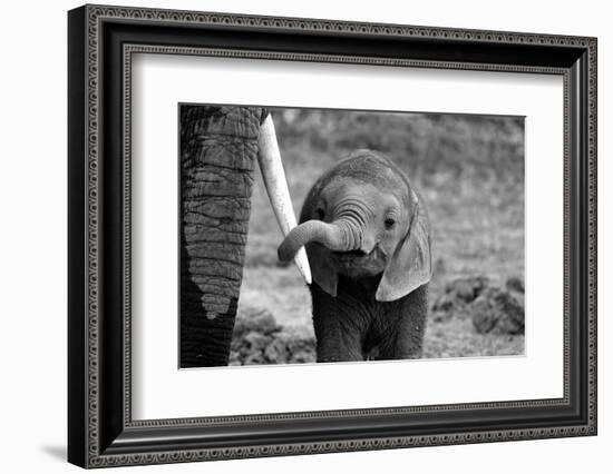 Close-Bjoern Alicke-Framed Photographic Print