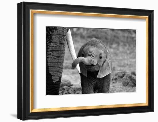 Close-Bjoern Alicke-Framed Photographic Print