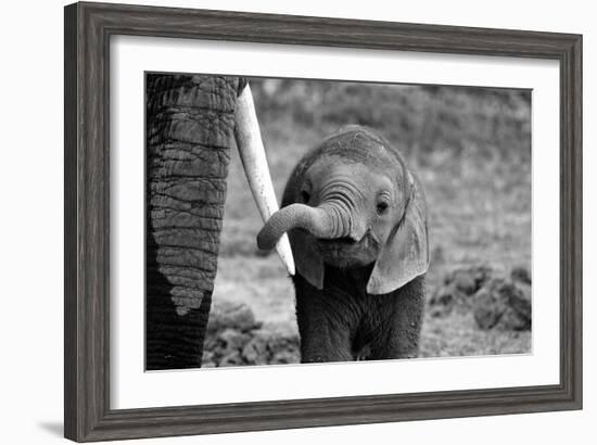 Close-Bjoern Alicke-Framed Photographic Print