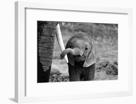 Close-Bjoern Alicke-Framed Photographic Print