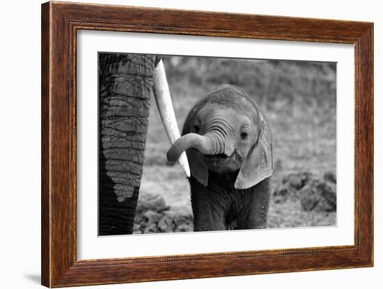 Close-Bjoern Alicke-Framed Photographic Print