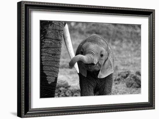 Close-Bjoern Alicke-Framed Photographic Print