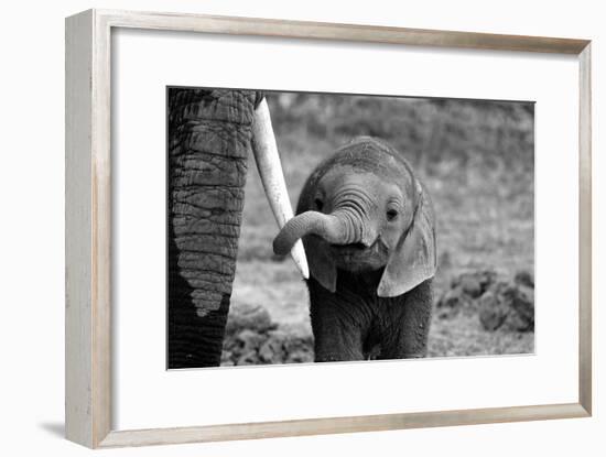 Close-Bjoern Alicke-Framed Photographic Print