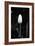 Closed Tulip-Jeff Pica-Framed Photographic Print