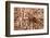 Closeup Image Of A Brown Recluse-Sari ONeal-Framed Photographic Print