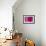 Closeup of a Beautiful Pink Rose-Owen Franken-Framed Photographic Print displayed on a wall
