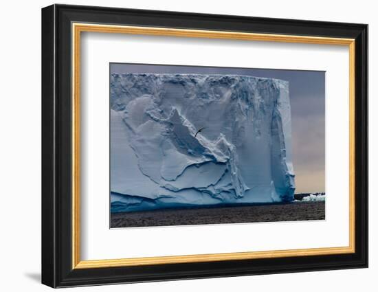 Closeup of a Gigantic Tabular Iceberg in the Weddell Sea around Sunset. Image Taken Enroute from Th-Durk Talsma-Framed Photographic Print