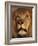 Closeup of a Male Lion, South Africa-Stuart Westmoreland-Framed Photographic Print