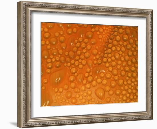 Closeup of Dewdrops on Poppy Petal-George Lepp-Framed Photographic Print