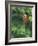 Closeup of Douglas Fir Cone, Olympic National Park, Washington, USA-Jamie & Judy Wild-Framed Photographic Print