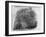 Closeup of Fingerprint of a Teenage Girl Who Is a Twin-null-Framed Photographic Print