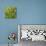 Closeup of Leaf-Micha Pawlitzki-Photographic Print displayed on a wall