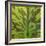 Closeup of Leaf-Micha Pawlitzki-Framed Photographic Print