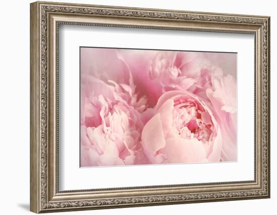 Closeup of Peony Flowers-Sandralise-Framed Photographic Print