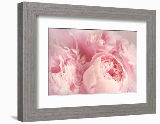 Closeup of Peony Flowers-Sandralise-Framed Photographic Print