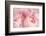 Closeup of Peony Flowers-Sandralise-Framed Photographic Print