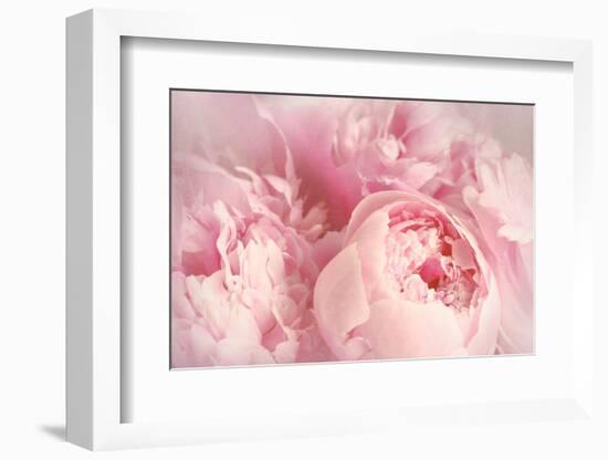 Closeup of Peony Flowers-Sandralise-Framed Photographic Print