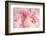 Closeup of Peony Flowers-Sandralise-Framed Photographic Print