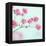 Closeup of Pink Baby's Breath Flowers-Anna-Mari West-Framed Premier Image Canvas