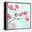 Closeup of Pink Baby's Breath Flowers-Anna-Mari West-Framed Premier Image Canvas