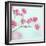 Closeup of Pink Baby's Breath Flowers-Anna-Mari West-Framed Premium Photographic Print