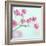 Closeup of Pink Baby's Breath Flowers-Anna-Mari West-Framed Photographic Print