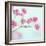 Closeup of Pink Baby's Breath Flowers-Anna-Mari West-Framed Photographic Print