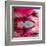 Closeup Of Pink Daisy-Gerbera With Soft Focus Reflected In The Water-silver-john-Framed Art Print