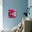 Closeup Of Pink Daisy-Gerbera With Soft Focus Reflected In The Water-silver-john-Mounted Art Print displayed on a wall