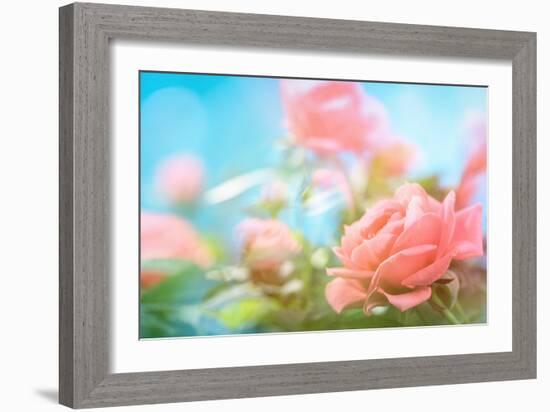 Closeup of Rose-Li Ding-Framed Photographic Print