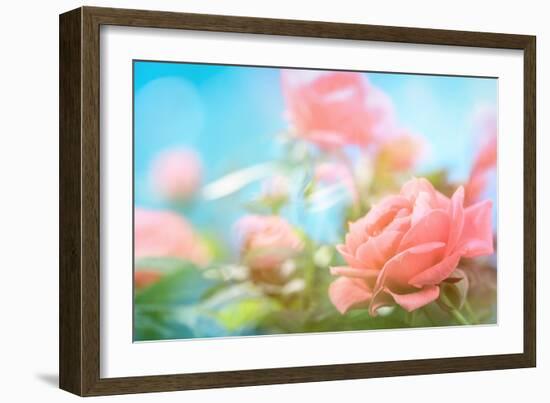 Closeup of Rose-Li Ding-Framed Photographic Print