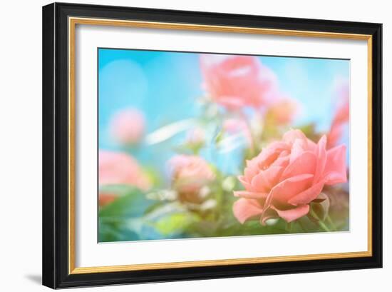 Closeup of Rose-Li Ding-Framed Photographic Print