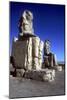 Closeup of the Colossi of Memnon, Luxor West Bank, Egypt, C1400 Bc-CM Dixon-Mounted Photographic Print