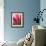 Closeup of Tulip.-Julianne Eggers-Framed Photographic Print displayed on a wall