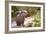 Closeup Small-Clawed Otter Among Plants-Christian Musat-Framed Photographic Print