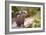 Closeup Small-Clawed Otter Among Plants-Christian Musat-Framed Photographic Print