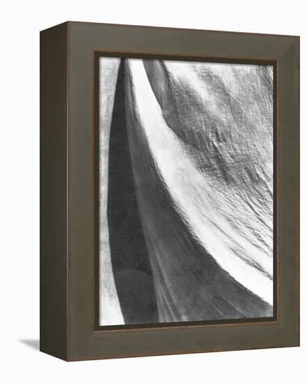 Cloth, Mexico, 1924-Tina Modotti-Framed Premier Image Canvas