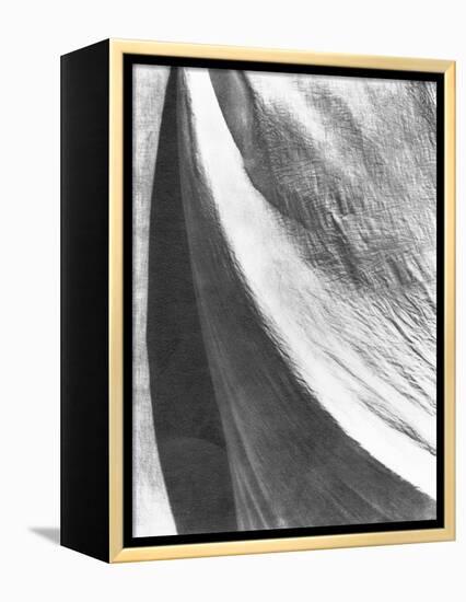 Cloth, Mexico, 1924-Tina Modotti-Framed Premier Image Canvas