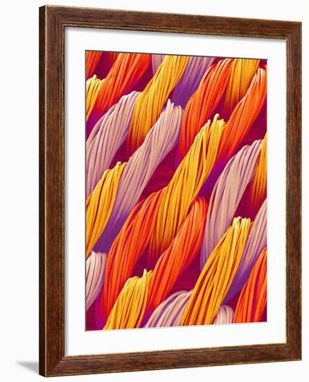 Cloth of a Brassiere Strap-Micro Discovery-Framed Photographic Print