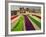 Clothes of Hindu Devotee are Laid out to Dry after Being Drenched During Ritualistic Holy Dips-Aman Sharma-Framed Photographic Print