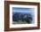 Cloud at the Schüsselkarspitze, Wetterstein Range-Rolf Roeckl-Framed Photographic Print