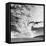 Cloud Covered Open Sky over Desert Landscape-Andreas Feininger-Framed Premier Image Canvas