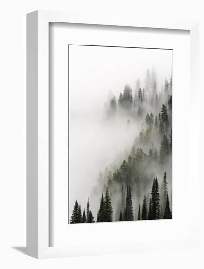 Cloud Forest, Glacier National Park, Montana-Russ Bishop-Framed Photographic Print