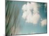 Cloud Formations-Savanah Plank-Mounted Photo
