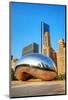 Cloud Gate in Millenium Park-null-Mounted Art Print